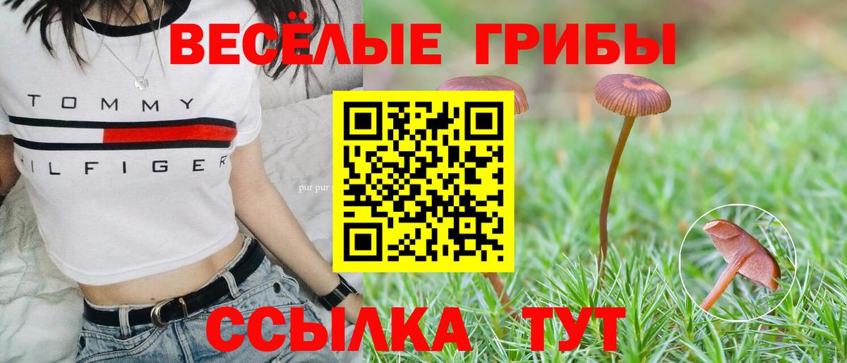 Галлюциногенные грибы MAGIC MUSHROOMS Великий Устюг
