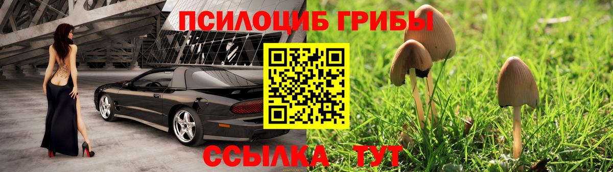 Галлюциногенные грибы Psilocybine cubensis  Вход с VPN  Великий Устюг 